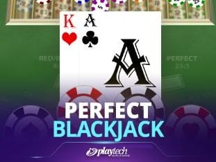 Perfect Blackjack screenshot